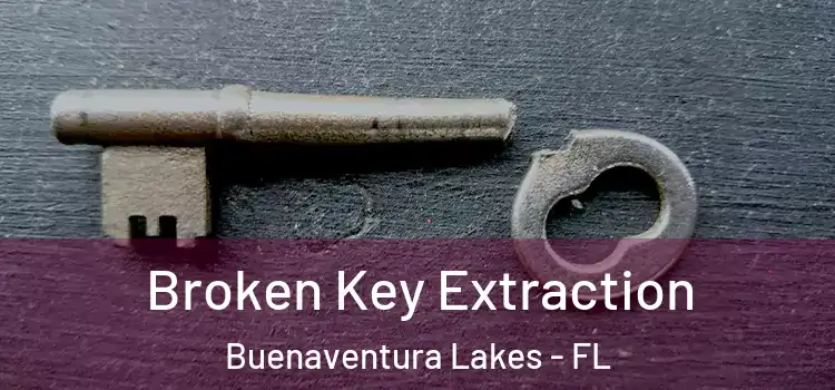 Broken Key Extraction Buenaventura Lakes - FL