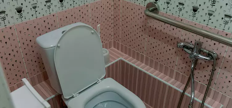 Meeting Diverse Needs With Accessible Restroom Solutions in Buenaventura Lakes, FL
